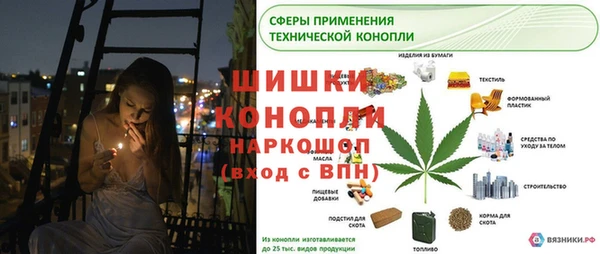 сатива Новодвинск