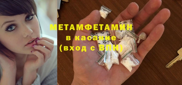 сатива Новодвинск