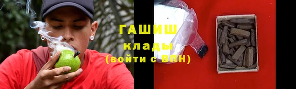 сатива Новодвинск
