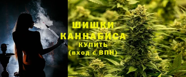 сатива Нефтегорск